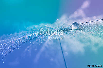 Abstract photo with a drop of dew. Art work, selective focus (bögre) - vászonkép, falikép otthonra és irodába