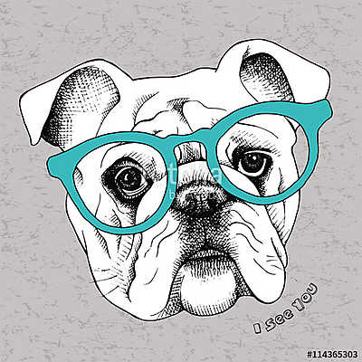 Image the portrait of a bulldog in the glasses. Vector illustrat (keretezett kép) - vászonkép, falikép otthonra és irodába