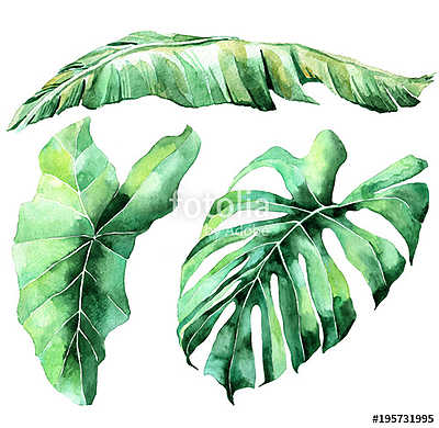 Tropical watercolor leaves set (bögre) - vászonkép, falikép otthonra és irodába