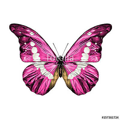 pink butterfly with white spots on the wings of the symmetric to (többrészes kép) - vászonkép, falikép otthonra és irodába