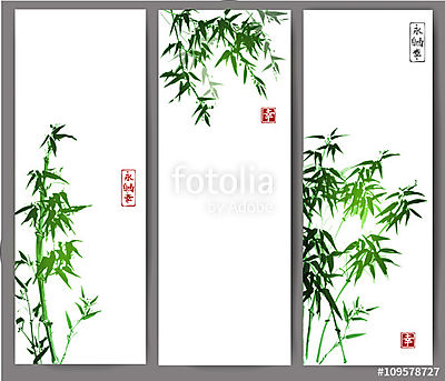 Három banner, zöld bambusz fákkal. Vektoros illusztráció. Trad (vászonkép óra) - vászonkép, falikép otthonra és irodába