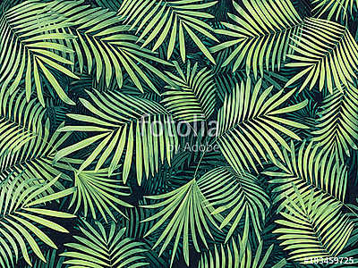 Trópusi levelek 02 (fotótapéta) - vászonkép, falikép otthonra és irodába
