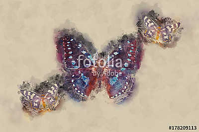 Watercolor Butterfly. (bögre) - vászonkép, falikép otthonra és irodába