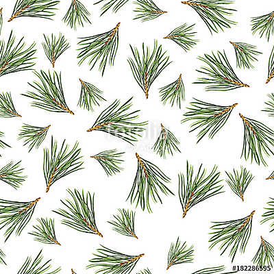 Seamless pattern with pine tree branches on white background. Ha (többrészes kép) - vászonkép, falikép otthonra és irodába