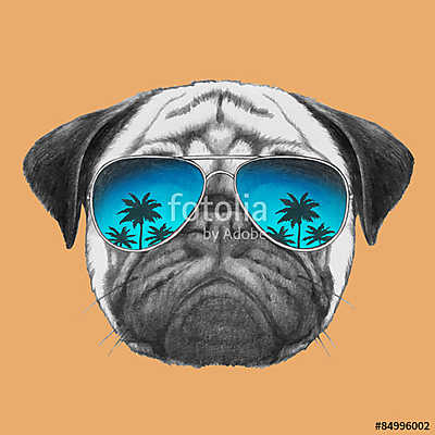 Hand drawn portrait of Pug Dog with mirror sunglasses. Vector is (poszter) - vászonkép, falikép otthonra és irodába
