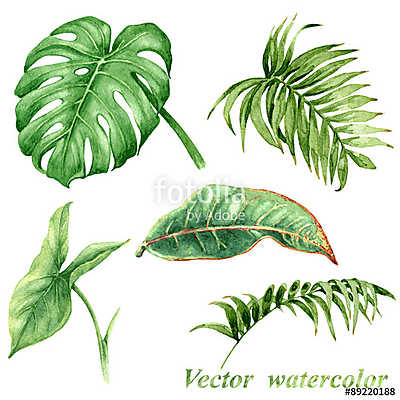 Set of watercolor tropical plants  leaves isolated on white. (többrészes kép) - vászonkép, falikép otthonra és irodába
