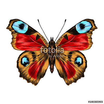butterfly with open wings top view, the symmetrical drawing, gra (fotótapéta) - vászonkép, falikép otthonra és irodába