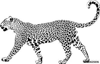 Leopard in black interpretation 2 (többrészes kép) - vászonkép, falikép otthonra és irodába