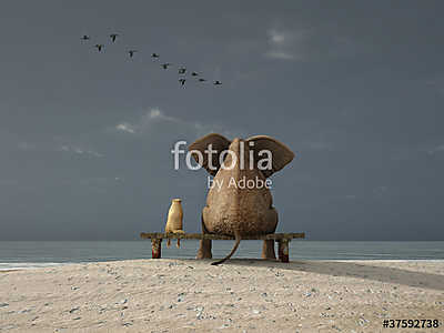 elefánt és kutya ül egy parton (bögre) - vászonkép, falikép otthonra és irodába