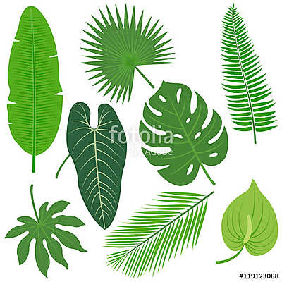 Trópusi növények levelei (többrészes kép) - vászonkép, falikép otthonra és irodába
