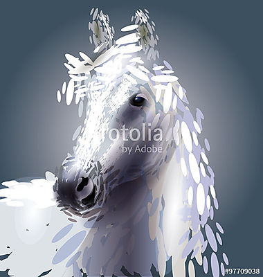 vektoros illusztrációja egy ló fejét (fotótapéta) - vászonkép, falikép otthonra és irodába