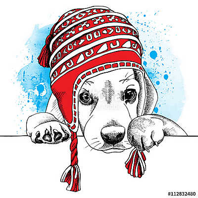 The poster with the image of the dog Beagle in the Chullo long k (bögre) - vászonkép, falikép otthonra és irodába