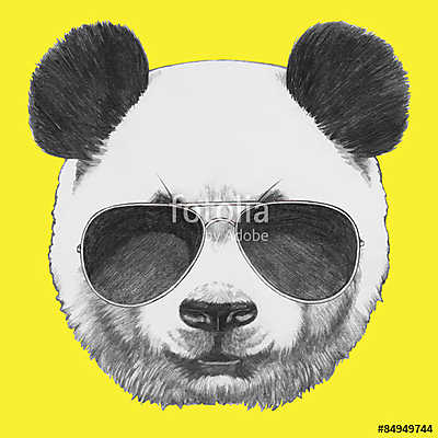 Hand drawn portrait of Panda with sunglasses. Vector isolated el (keretezett kép) - vászonkép, falikép otthonra és irodába