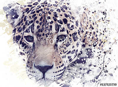 Leopard Portrait Watercolor (fotótapéta) - vászonkép, falikép otthonra és irodába