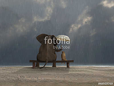 elefánt és kutya ülnek az esõ alatt (többrészes kép) - vászonkép, falikép otthonra és irodába