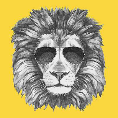 Hand drawn portrait of Lion with sunglasses. Vector isolated ele (többrészes kép) - vászonkép, falikép otthonra és irodába