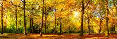 Őszi erdők panoráma az arany napsütésben (többrészes kép) - vászonkép, falikép otthonra és irodába