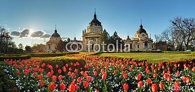 Budapest - tavaszi panoráma virággal, Széchenyi Gyógyfürdő, Magy (bögre) - vászonkép, falikép otthonra és irodába