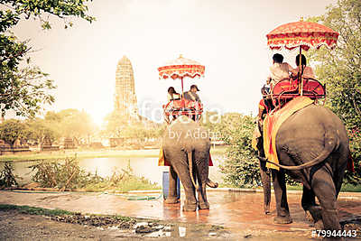 Elefántok Ayutthayában (fotótapéta) - vászonkép, falikép otthonra és irodába