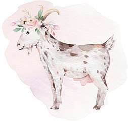Akvarell háziállatok - kecske (fotótapéta) - vászonkép, falikép otthonra és irodába