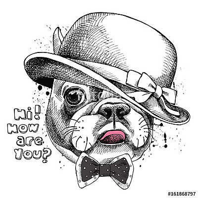Image Portrait of French bulldog in a Elegant hat and tie. Vecto (poszter) - vászonkép, falikép otthonra és irodába