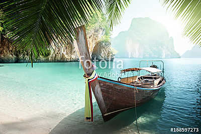 long boat on island in Thailand (bögre) - vászonkép, falikép otthonra és irodába