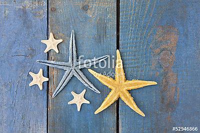 tengeri csillag a kék fán (keretezett kép) - vászonkép, falikép otthonra és irodába