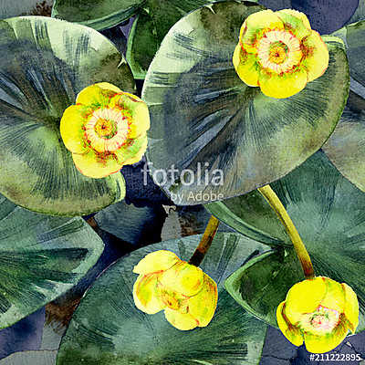 Seamless watercolor pattern of yellow water lilies and leaves. (többrészes kép) - vászonkép, falikép otthonra és irodába