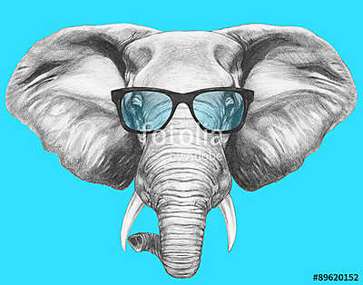 Portrait of Elephant with glasses. Hand drawn illustration. (bögre) - vászonkép, falikép otthonra és irodába
