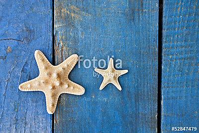 tengeri csillag a kék fán (keretezett kép) - vászonkép, falikép otthonra és irodába