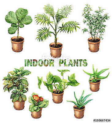 Watercolor Indoor Pot Plants (keretezett kép) - vászonkép, falikép otthonra és irodába