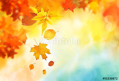 őszi levelek háttér (fotótapéta) - vászonkép, falikép otthonra és irodába