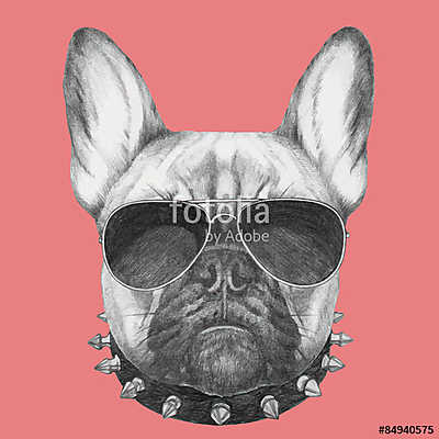 Hand drawn portrait of French Bulldog with collar and sunglasses (többrészes kép) - vászonkép, falikép otthonra és irodába