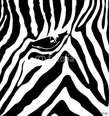Zebra minta (vászonkép óra) - vászonkép, falikép otthonra és irodába