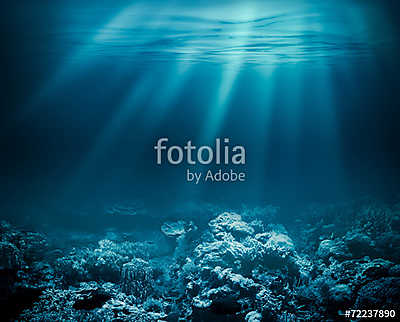 Sea deep or ocean underwater with coral reef as a background for (keretezett kép) - vászonkép, falikép otthonra és irodába