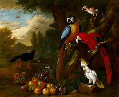 Két ara papagáj, egy kakadu és egy szajkó gyümölcsökkel (keretezett kép) - vászonkép, falikép otthonra és irodába