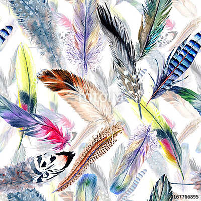 Watercolor bird feather pattern from wing. Aquarelle feather for (bögre) - vászonkép, falikép otthonra és irodába