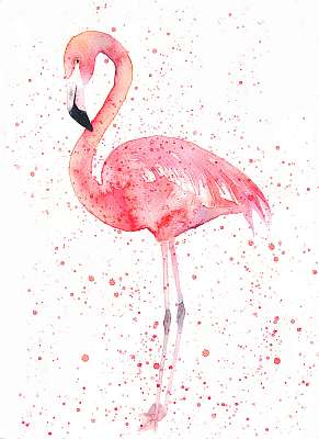 Flamingó  (poszter) - vászonkép, falikép otthonra és irodába