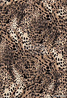 leopard (többrészes kép) - vászonkép, falikép otthonra és irodába