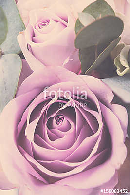 Fresh pink roses macro shot, summer flowers, vintage style (bögre) - vászonkép, falikép otthonra és irodába