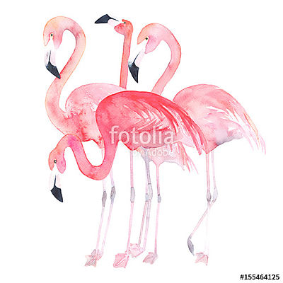 Flamingók csoportja (többrészes kép) - vászonkép, falikép otthonra és irodába