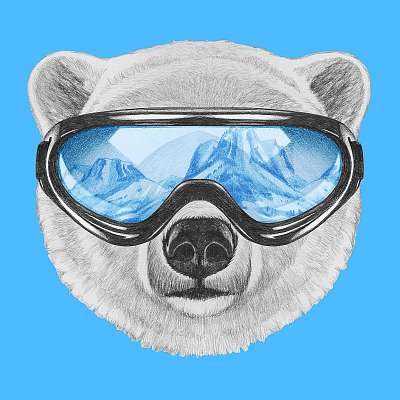Portrait of Polar Bear with ski goggles. Hand drawn illustration (bögre) - vászonkép, falikép otthonra és irodába