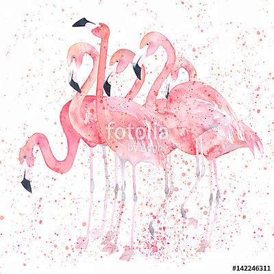 Flamingók  (poszter) - vászonkép, falikép otthonra és irodába