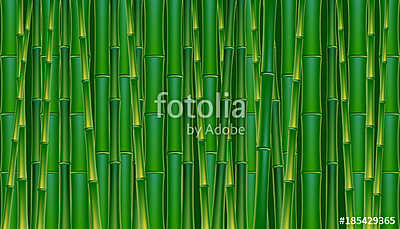 Zöld bambusz háttér. (bögre) - vászonkép, falikép otthonra és irodába