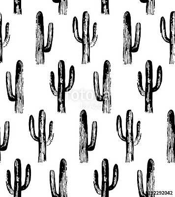 Black and white cactus. Sketch pattern. Botanical background (poszter) - vászonkép, falikép otthonra és irodába