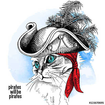 Image cat portrait in a pirate hat and bandana on blue backgroun (keretezett kép) - vászonkép, falikép otthonra és irodába