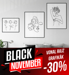 Black November Line Art Ackió