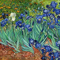 Reprodukció nyomtatás - Vincent Van Gogh