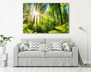Napfényes lombos fák az erdőben (vászonkép) - vászonkép, falikép otthonra és irodába