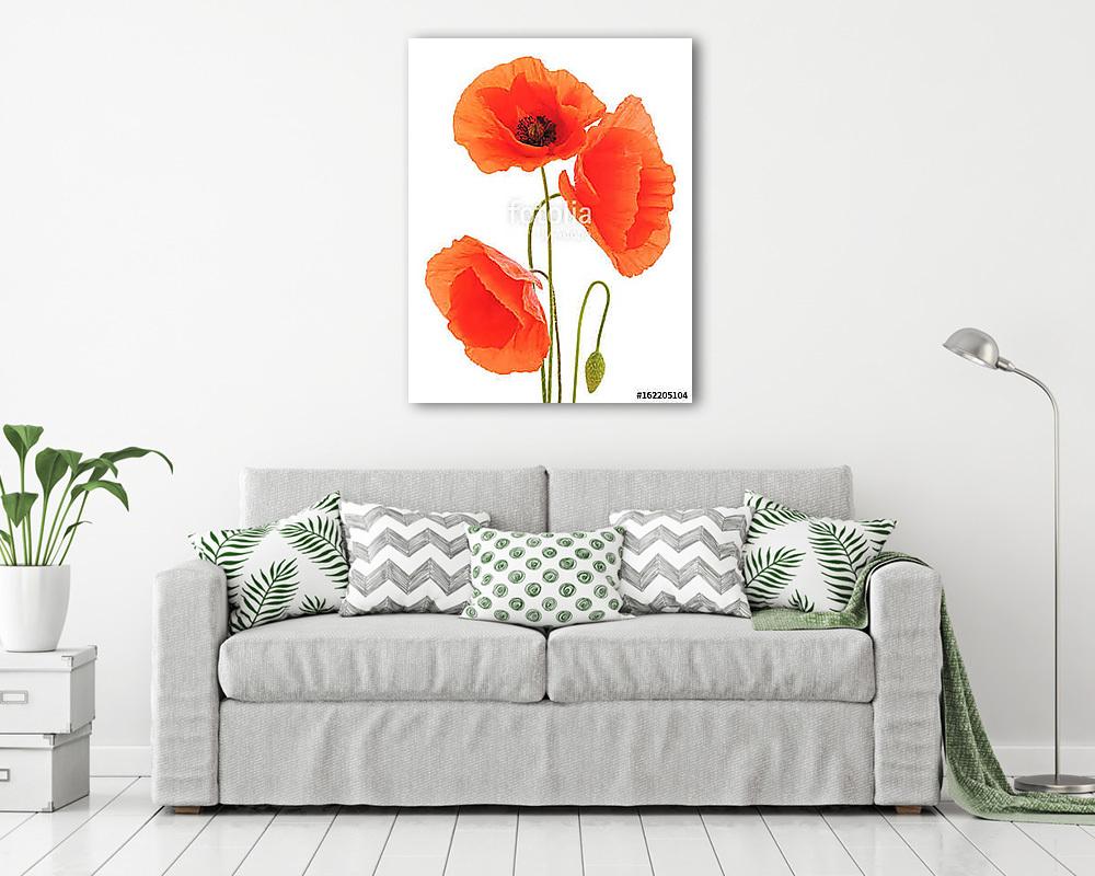 Vörös pipacsok. (fotótapéta) - vászonkép, falikép otthonra és irodába